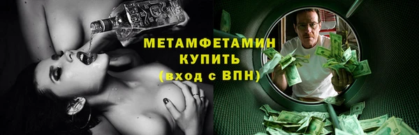 индика Инсар