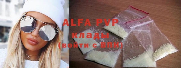индика Инсар