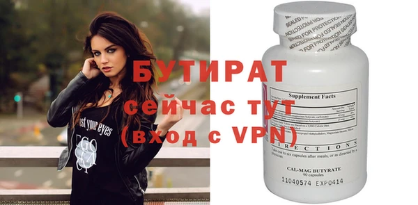 индика Инсар
