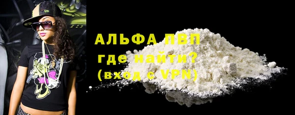 индика Инсар