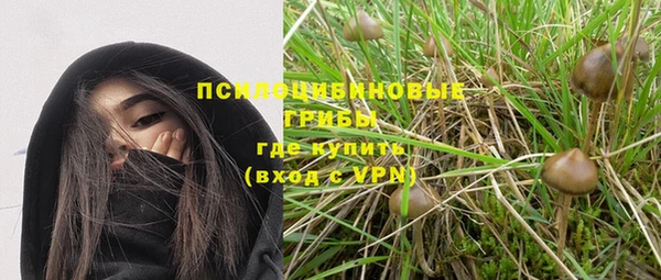 а пвп мука Иннополис