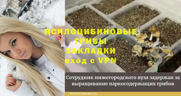 а пвп мука Иннополис