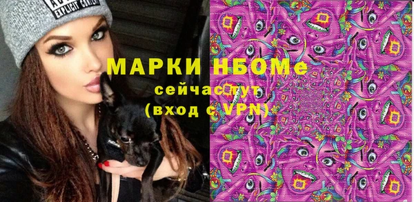 индика Инсар