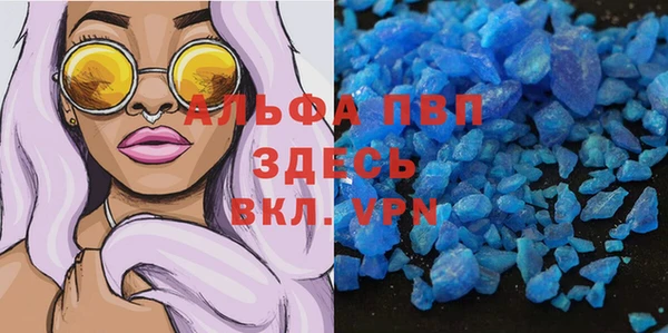 индика Инсар
