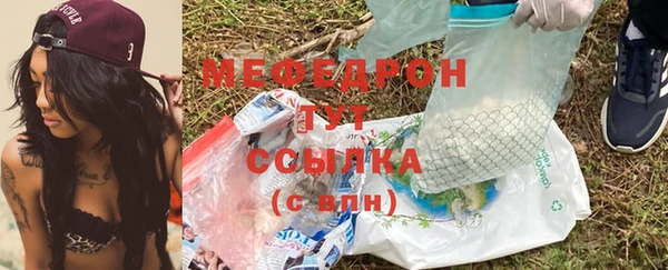 индика Инсар