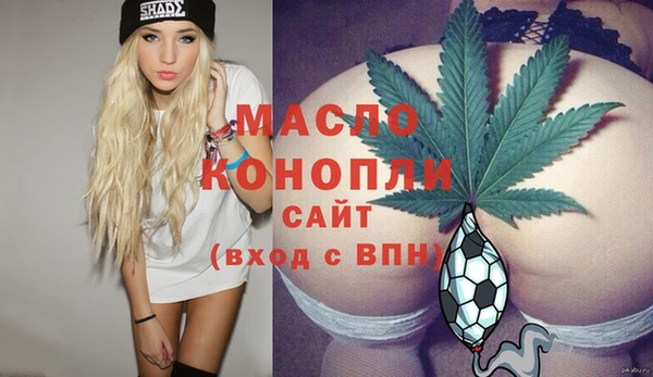 индика Инсар