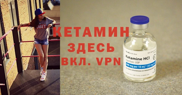 индика Инсар