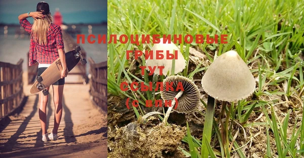 индика Инсар