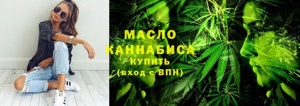 индика Инсар