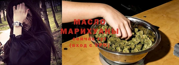 индика Инсар