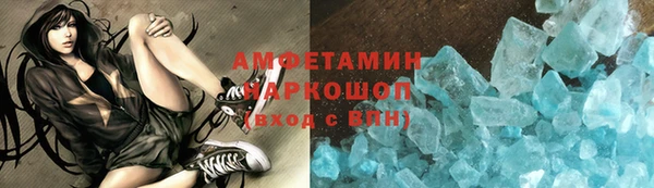 индика Инсар