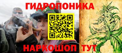 шишки Бузулук