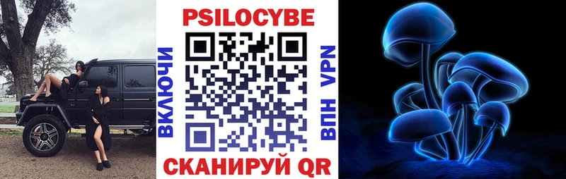 Псилоцибиновые грибы Psilocybe  Балаково 