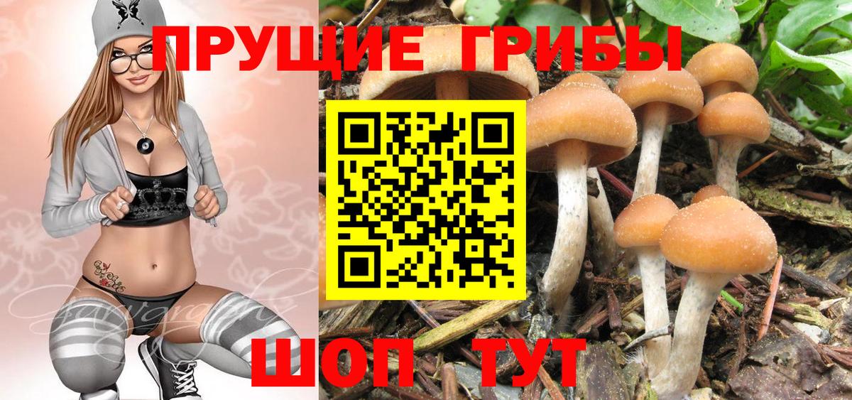 Галлюциногенные грибы ЛСД Балаково