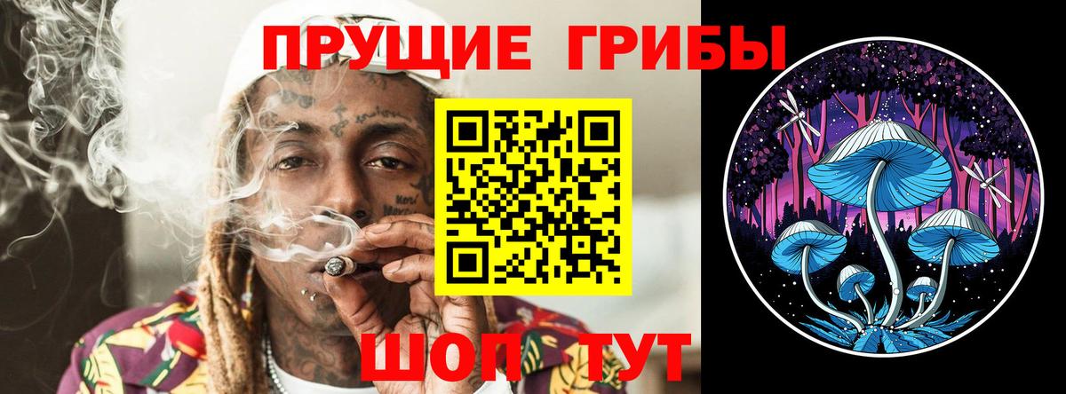 Псилоцибиновые грибы Cubensis  продажа наркотиков  Балаково  Псилоцибиновые грибы ЛСД 