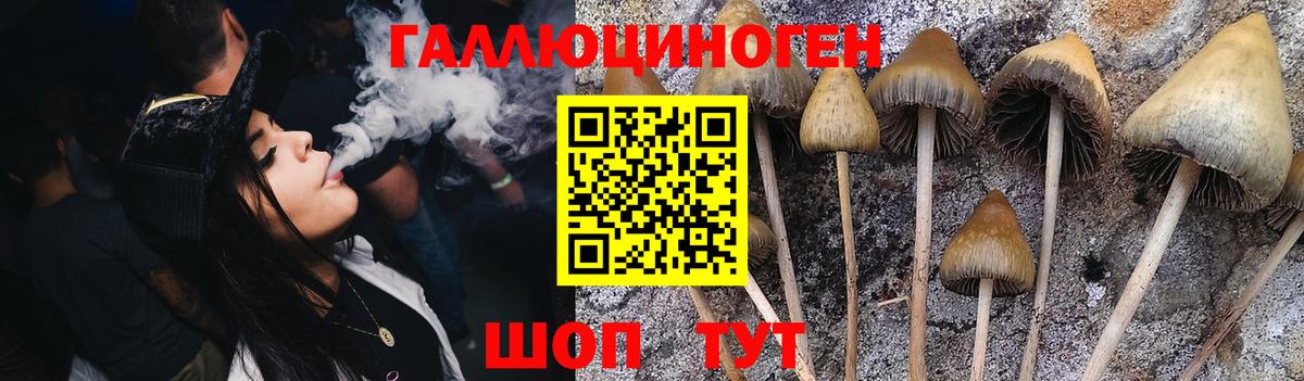 хочу   Галлюциногенные грибы MAGIC MUSHROOMS  Вход с VPN  Балаково 