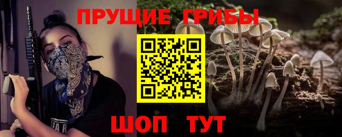 Псилоцибиновые грибы Psilocybe Балаково